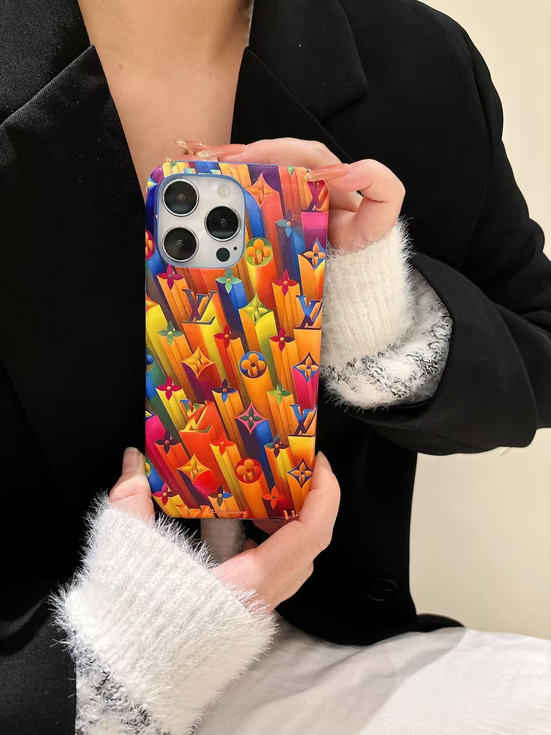 Louis Vuitton Colorful Case
